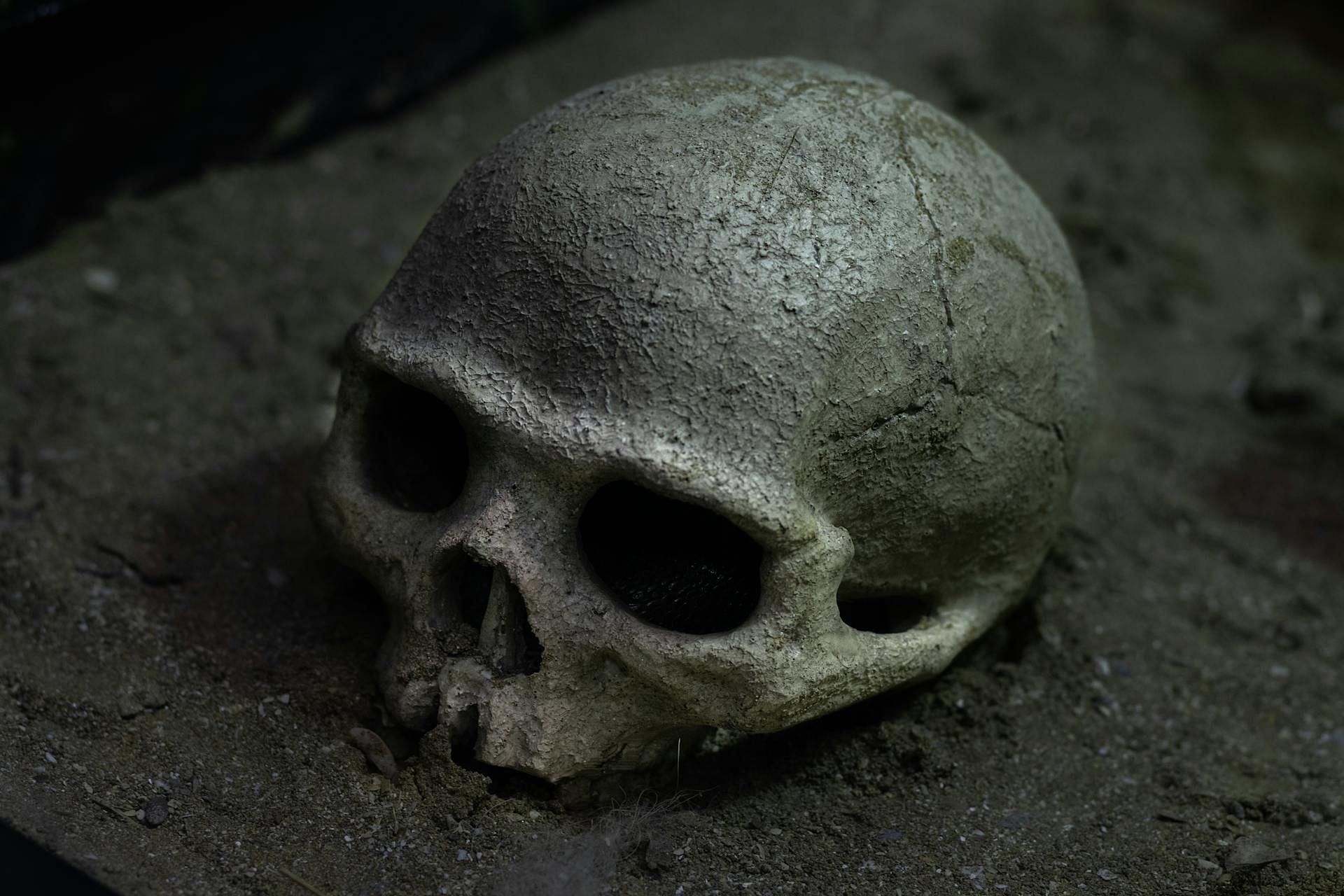 Eight body remains were found in the wooded region of Fort Myers (Image via Pexels)